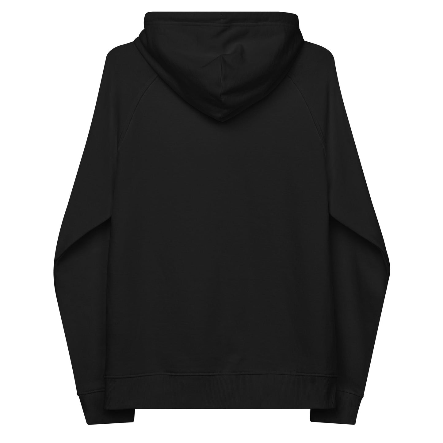 unlearn-relearn-hoodie-i3 unisex-eco-raglan-hoodie-black-back-647547b169f25.jpg