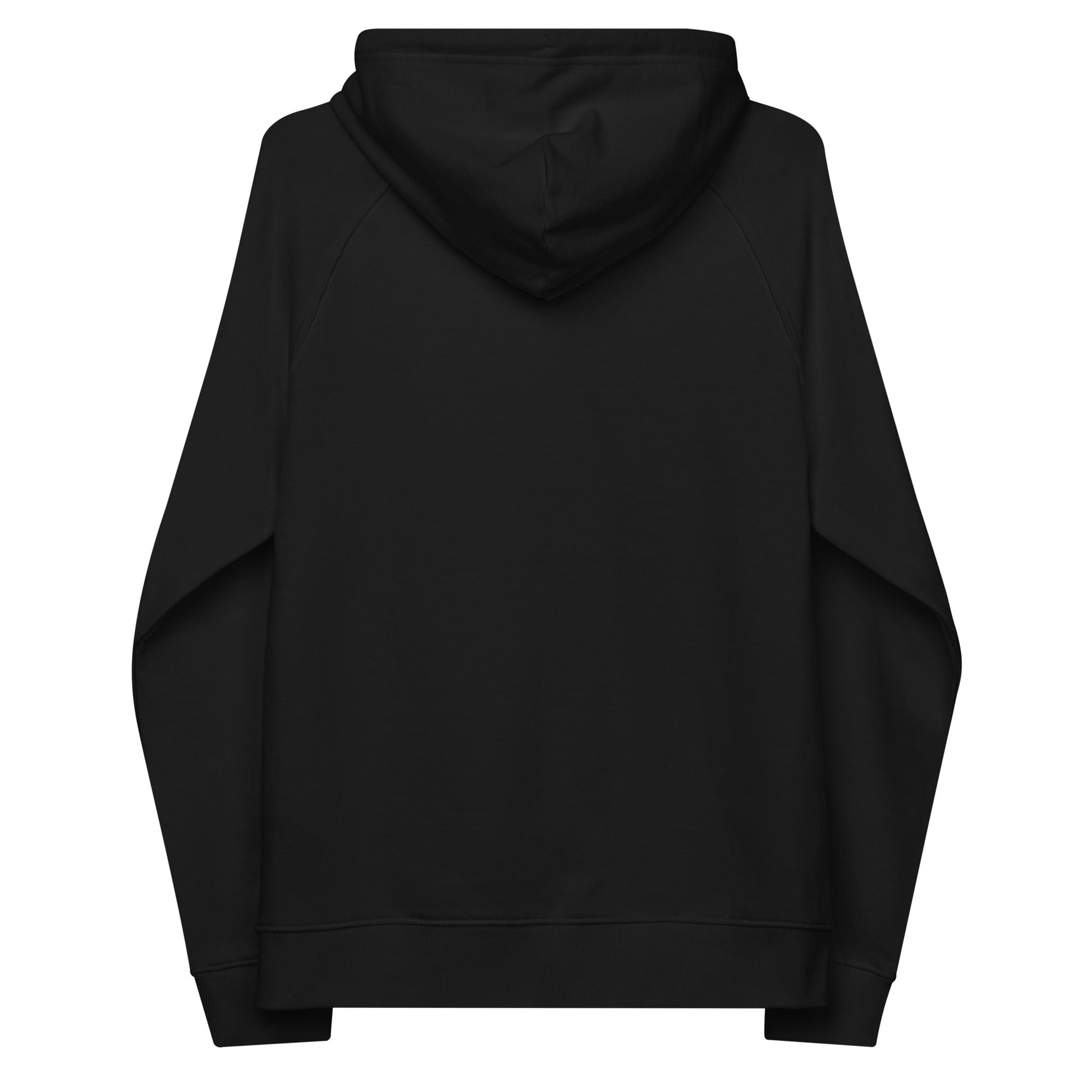 unlearn-relearn-hoodie-i3 unisex-eco-raglan-hoodie-black-back-647547b169f25.jpg